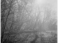 2019-12-10-0010_6x6_Foma_Fomapan_100_Xtol_1-1_N05